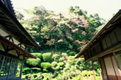 青源寺庭園