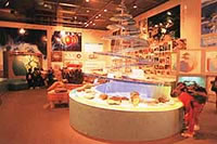 地質館・展示ホール