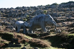 佐川ナウマンカルスト