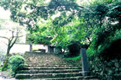 青源寺庭園