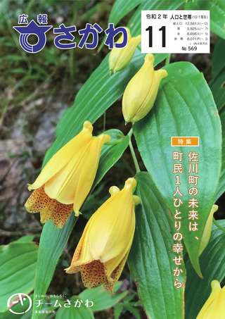 広報さかわ11月