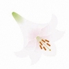 logo5_フクリンササユリ(低解像度)