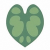 logo2_サカワサイシンB(低解像度)