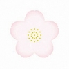 logo4_ワカキノサクラ(低解像度)