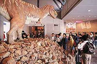 地質館・迫力満点のティラノザウルス