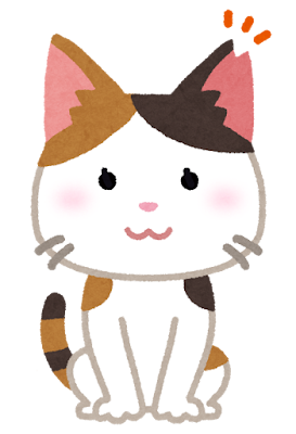メス猫