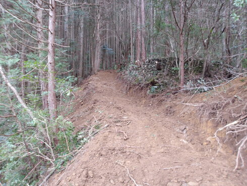 作業道
