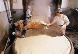 酒造り[司牡丹]　